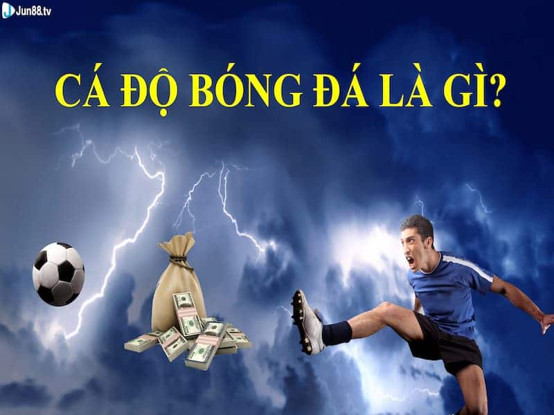 Cá độ bóng đá